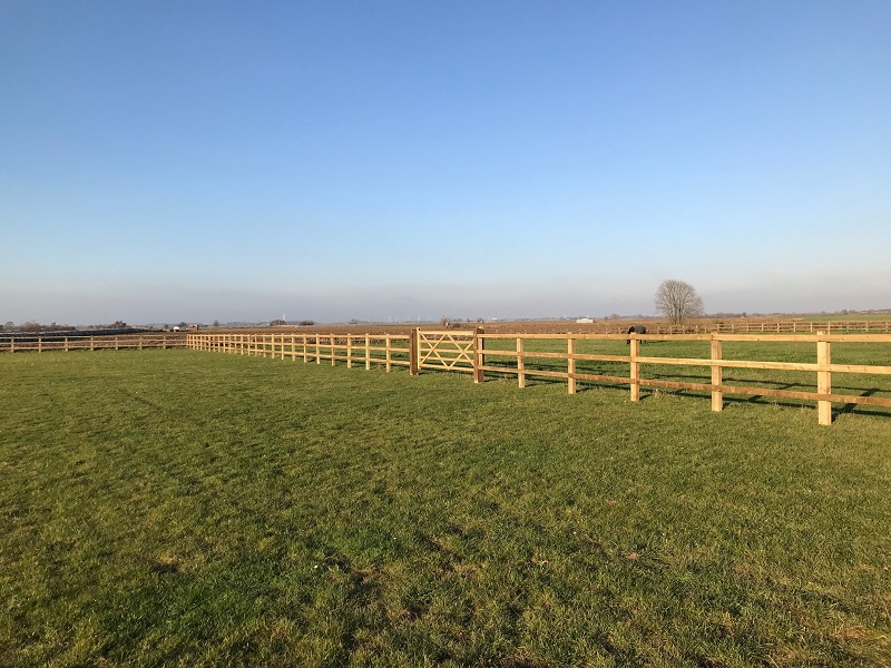 equestrian news suregrow fields