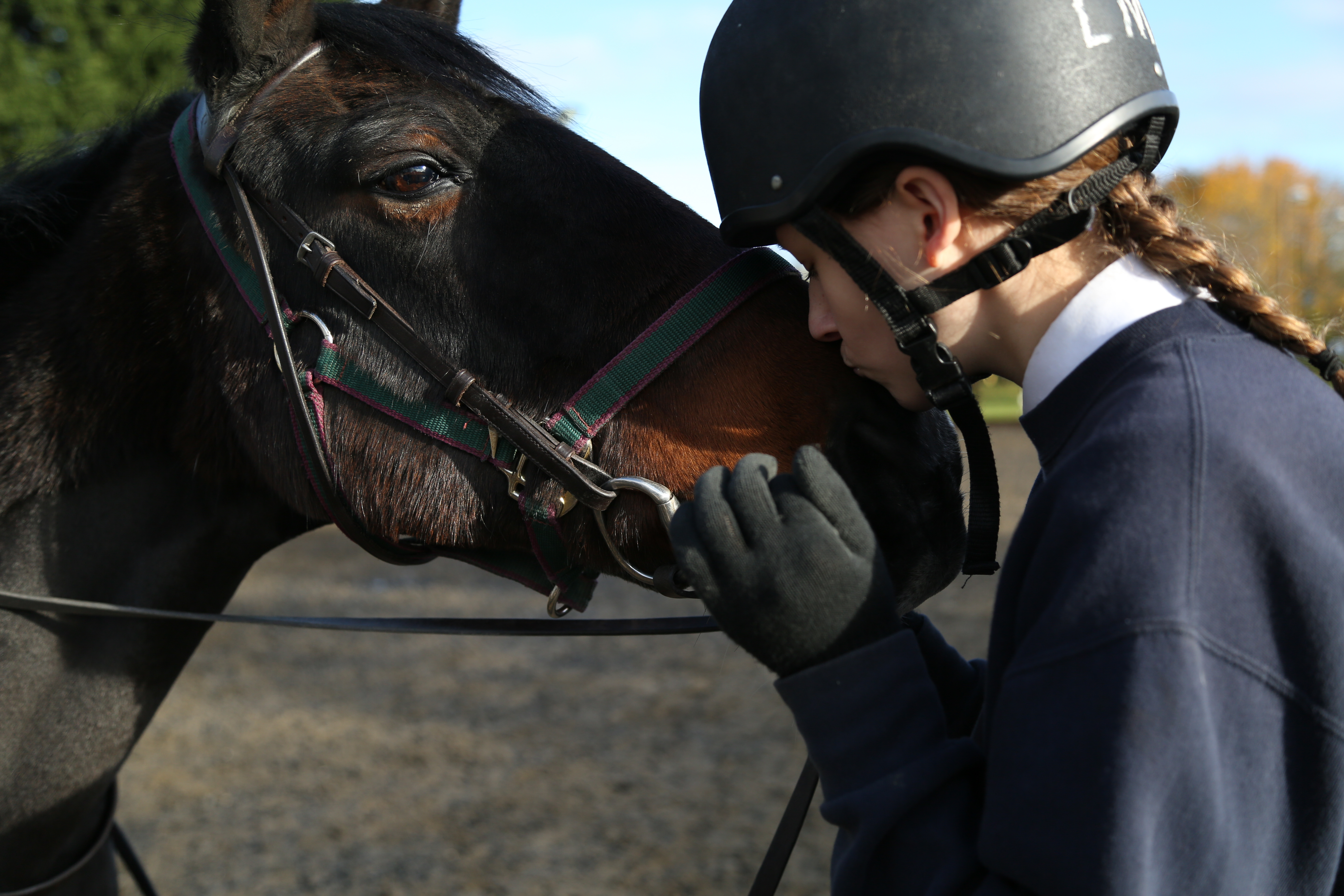 Ride High Milton Keynes equestrian news Ride High Milton Keynes