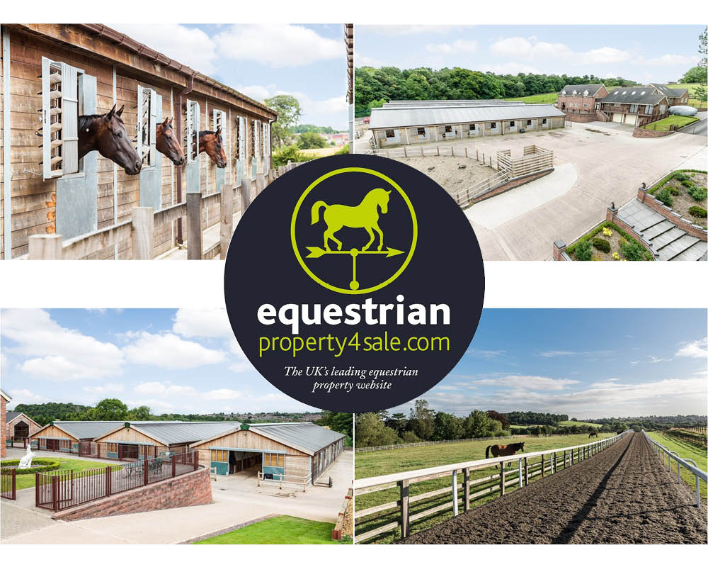 equestrian property for sale