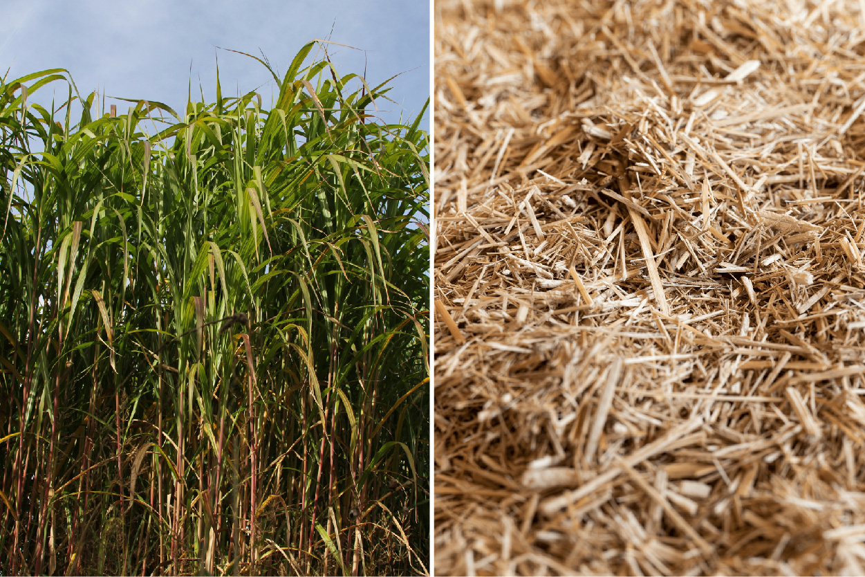 What is Miscanthus Horse bedding?