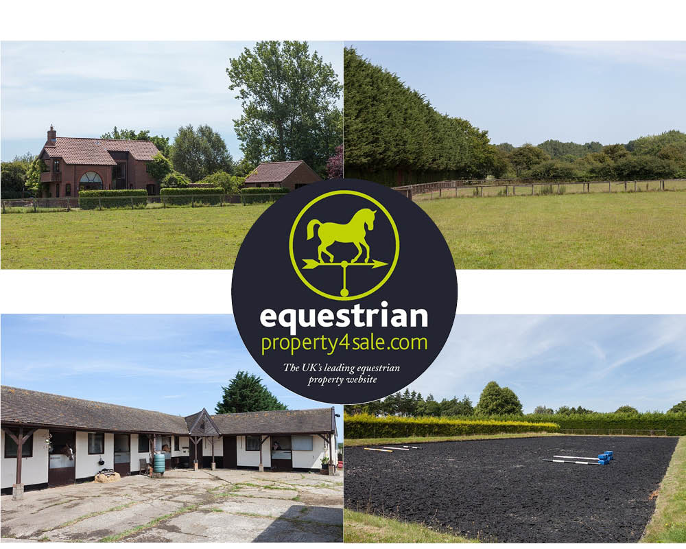 Featured Equestrian Property March 2021