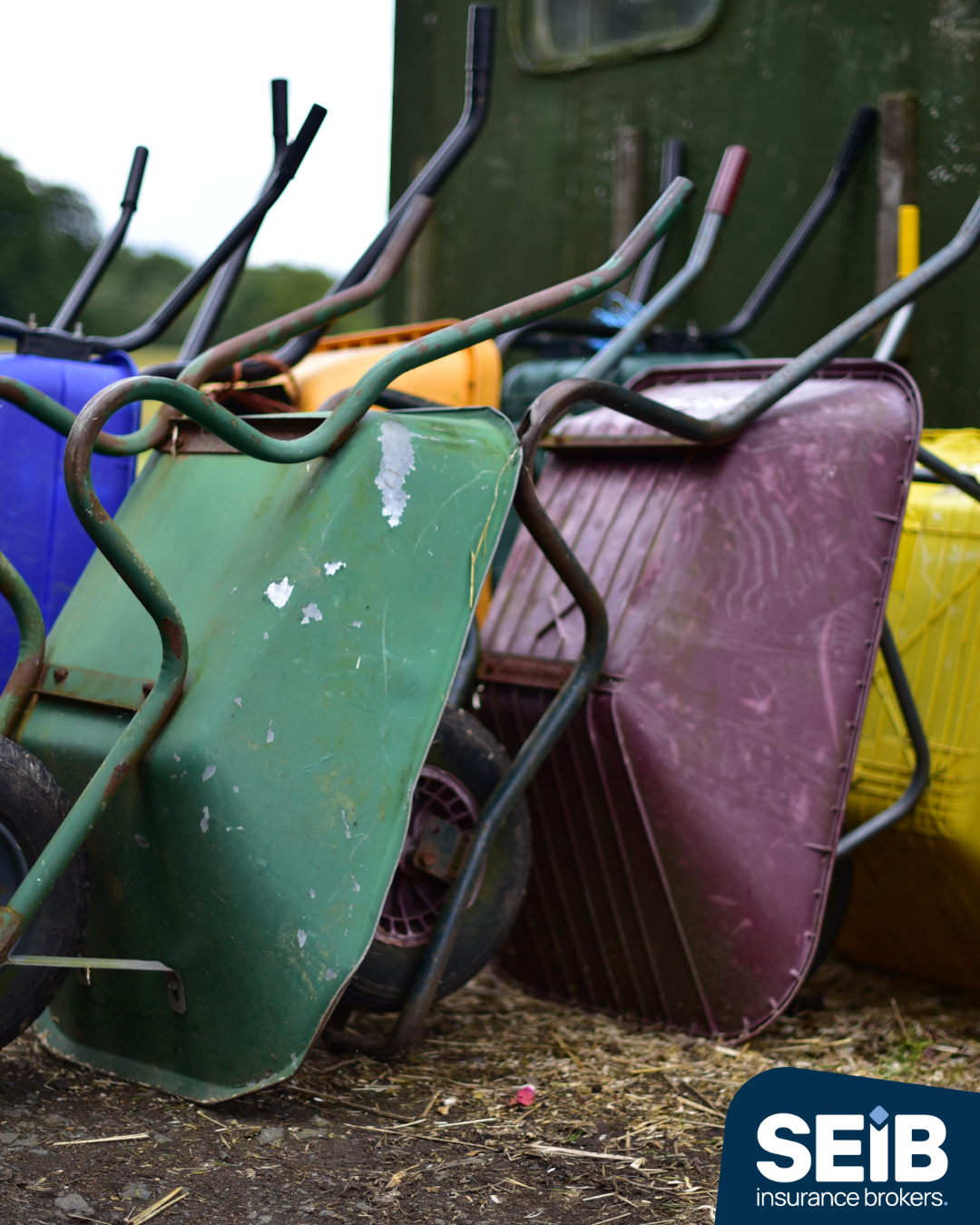 SEIB Livery Insurance 3