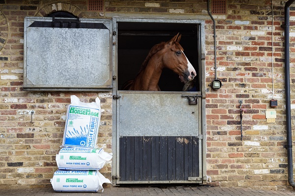 equestrian index equestrian news mol