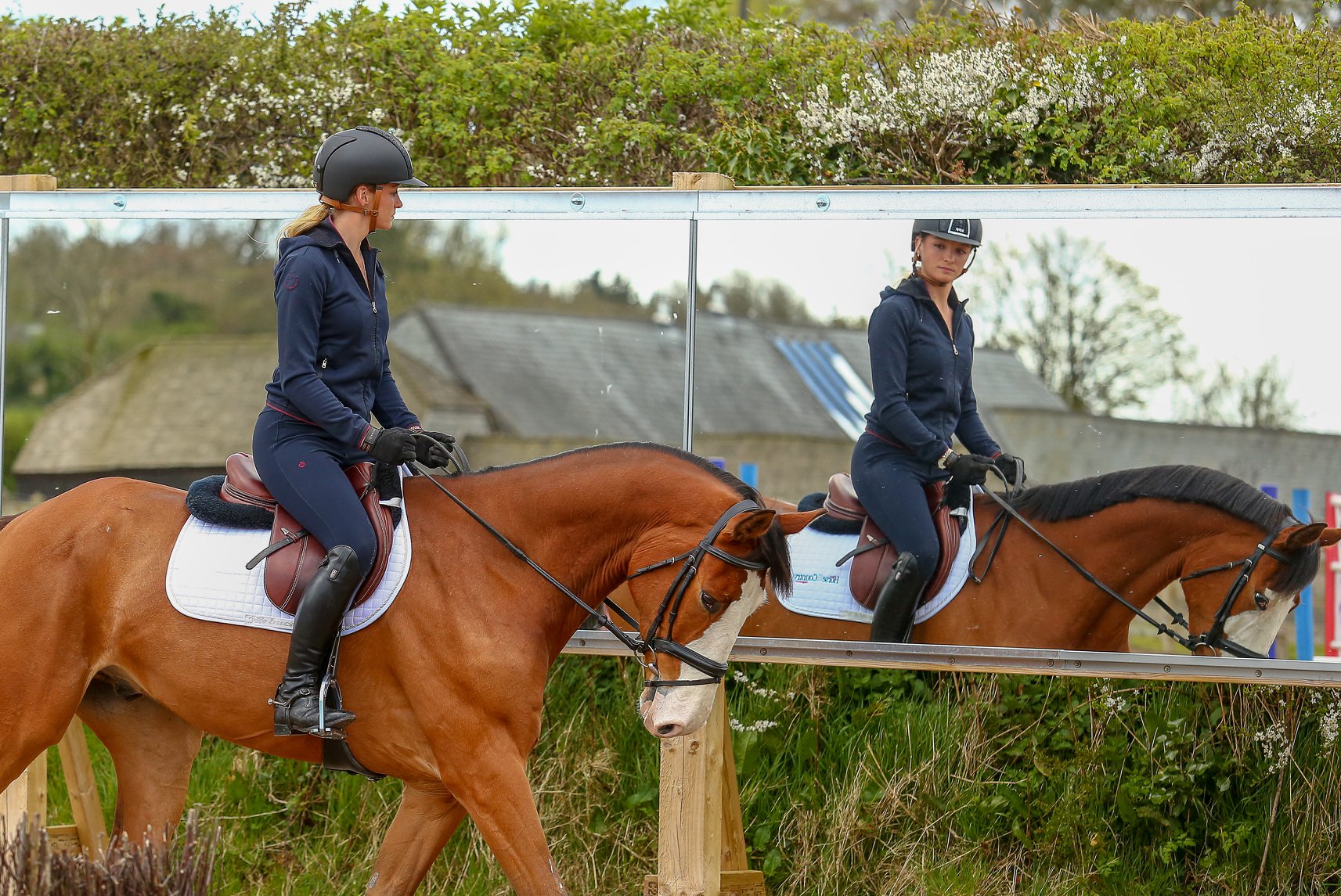 mirrors for training pay monthly equestrian news mirrors for training pay monthly