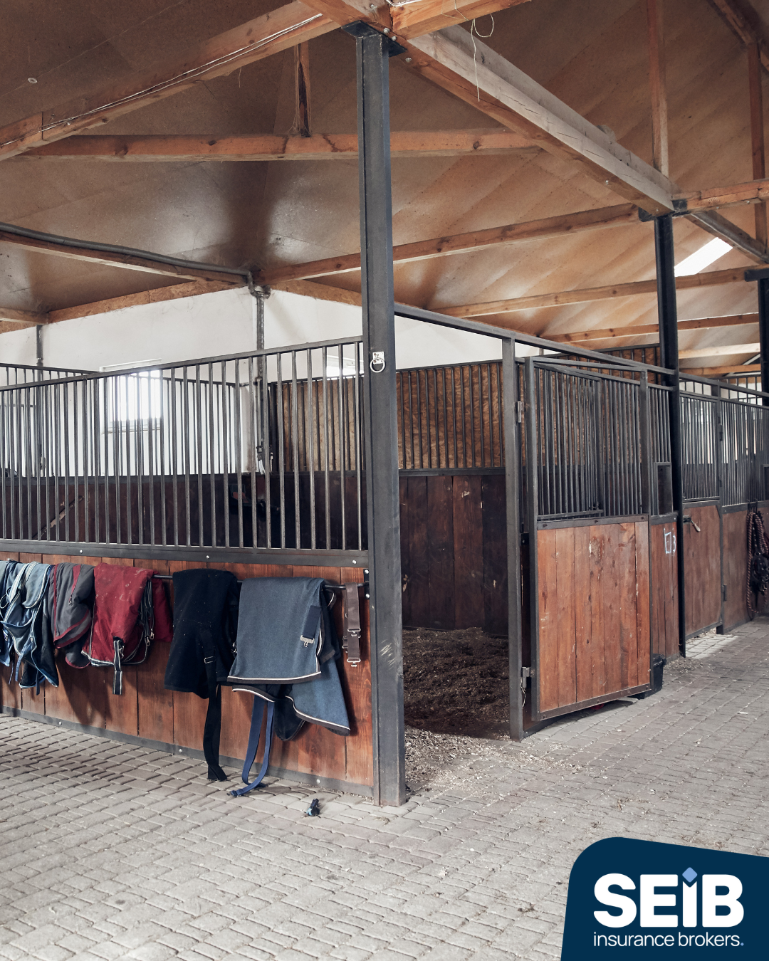 SEIB Livery Insurance 2