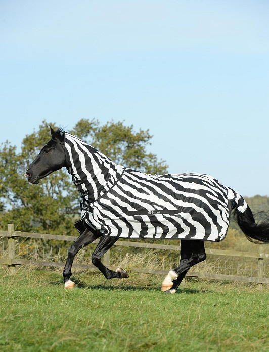 equestrian news Buzz-Off Zebra Bucas