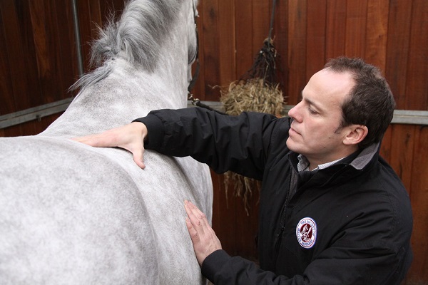 equestrian news equestrian index thorough