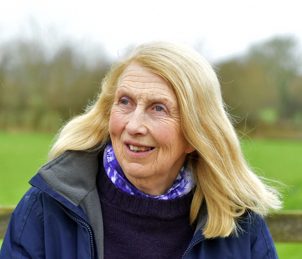 equestrian index equestrian news hall