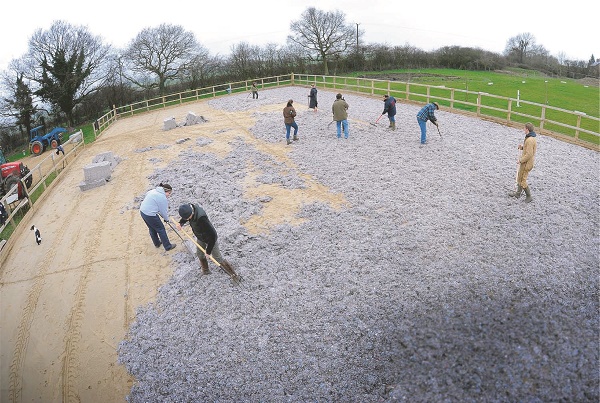 equestrian index equestrian news clopf