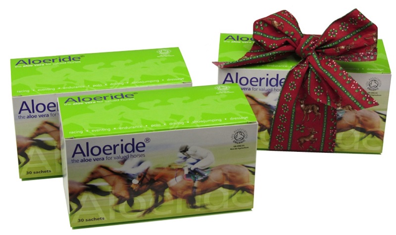 Aloeride Christmas Gift guide
