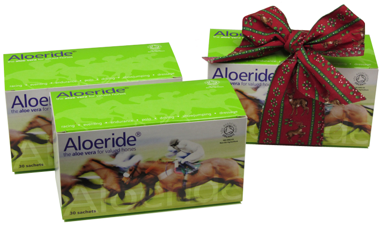 Aloeride Christmas Gift guide 2019