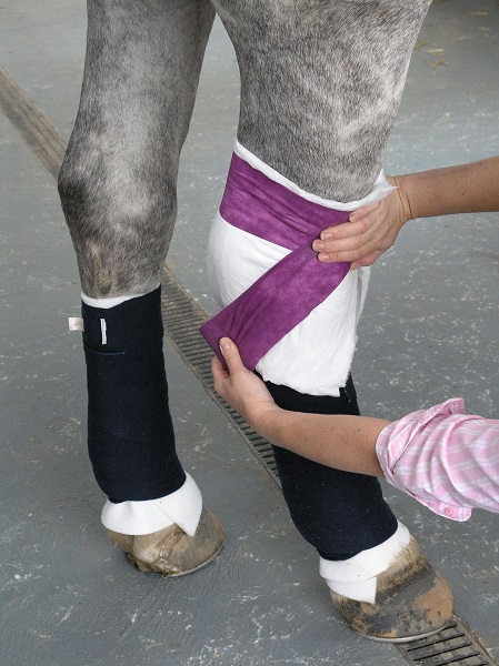 Equestrian Index Equestrian News both