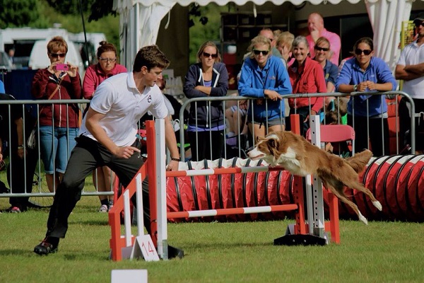 Equestrian News Equestrian Index anthony