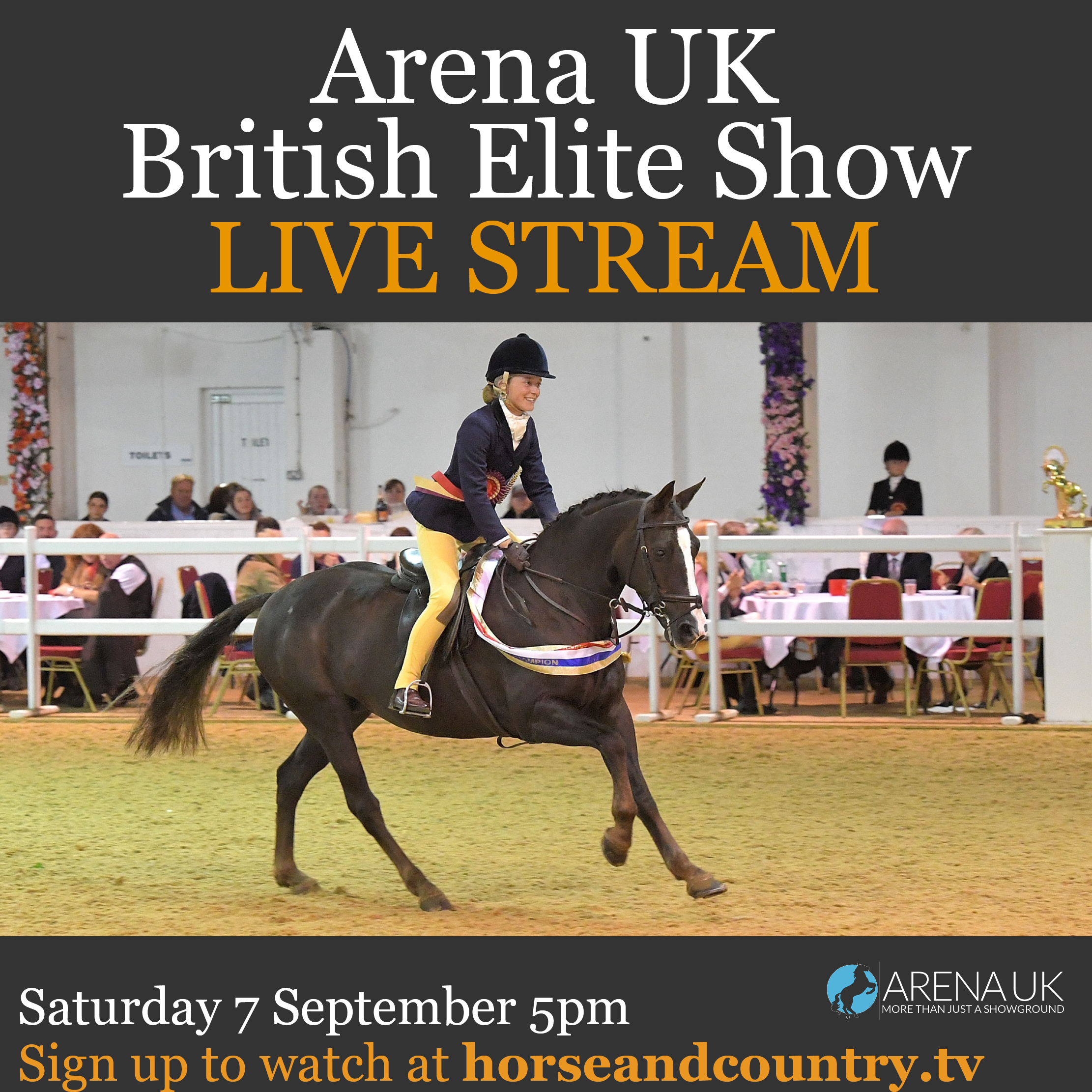 horse & country tv arena UK