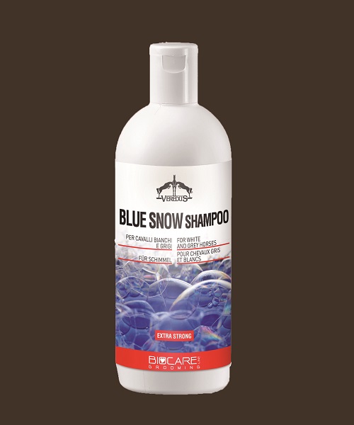 equestrian news equestrian index snow