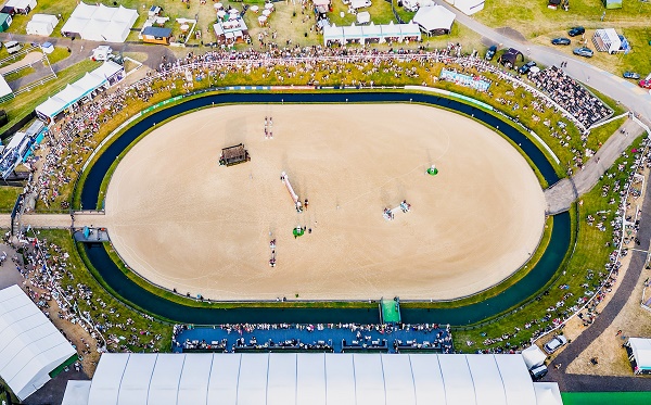 equestrian index equestrian news boles3