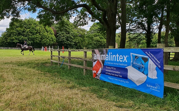 equestrian index equestrian news intex