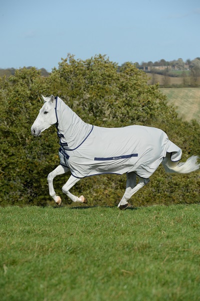 equestrian news equestrian index silver