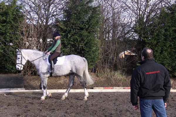 equestrian news equestrian index old tack