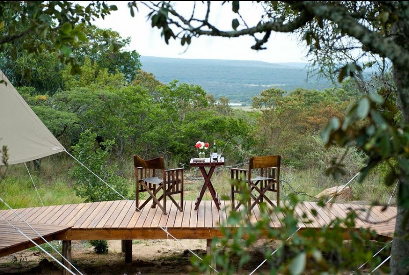 equestrian news the equestrian index camp davidson ranchrider