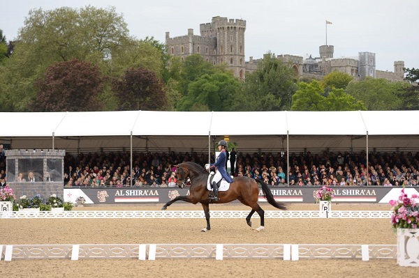 equestrian news equestrian index charlotte