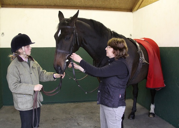 Equestrian News Equestrian Index bridle