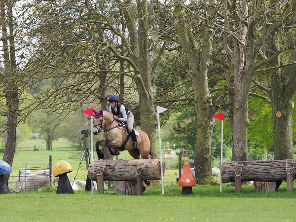 equestrian index equestrian news dunn