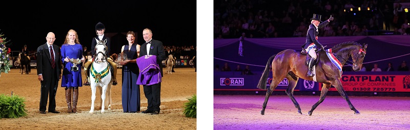 Hoys winners 2018