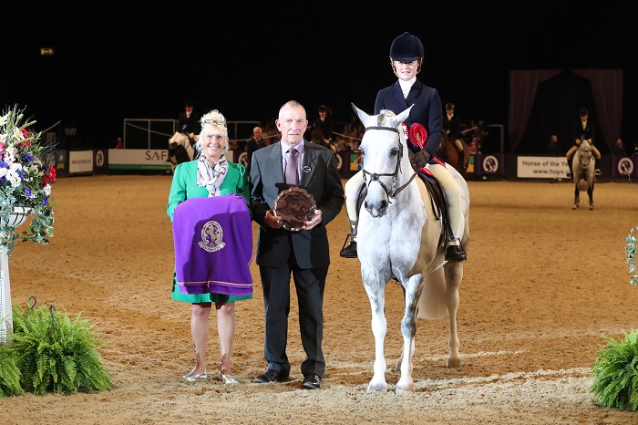national pony society winner hoys 2018