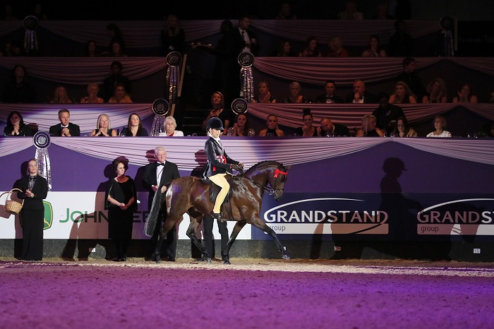 childs ridden pony of the year hoys 2018