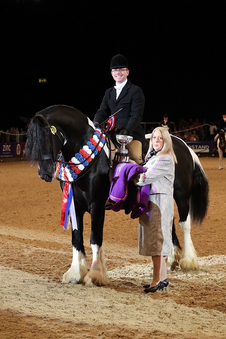coloured horse and pony of the year hoys 2018