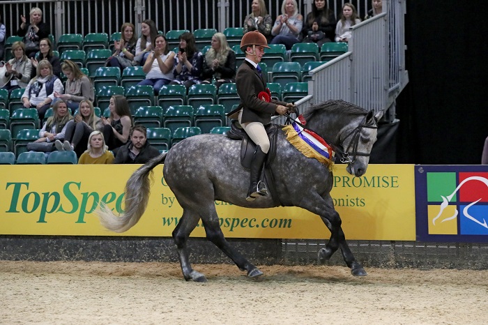 mountain moorland at hoys 2018