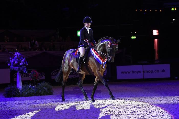 supreme pony of the year hoys 2018