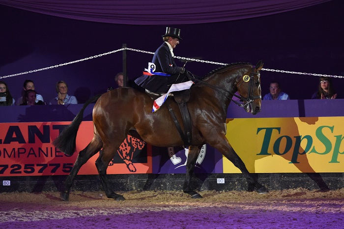 supreme horse of the year hoys 2018