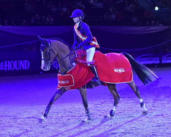equestrian news the equestrian index RED mills hoys