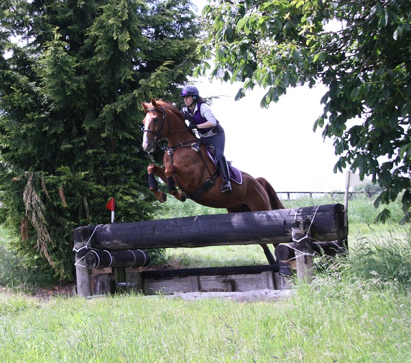 equestrian news equestrian index copper