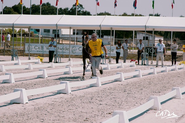 Equestrian News Equestrian Index craig