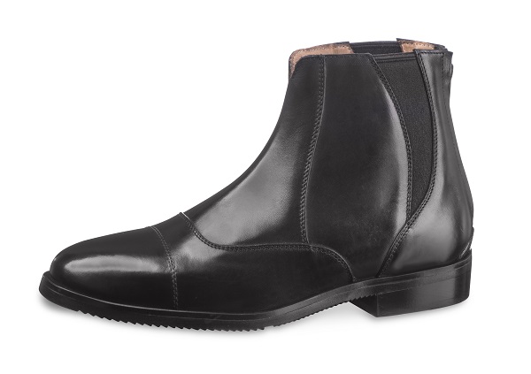 equestrian news equestrian index lybra