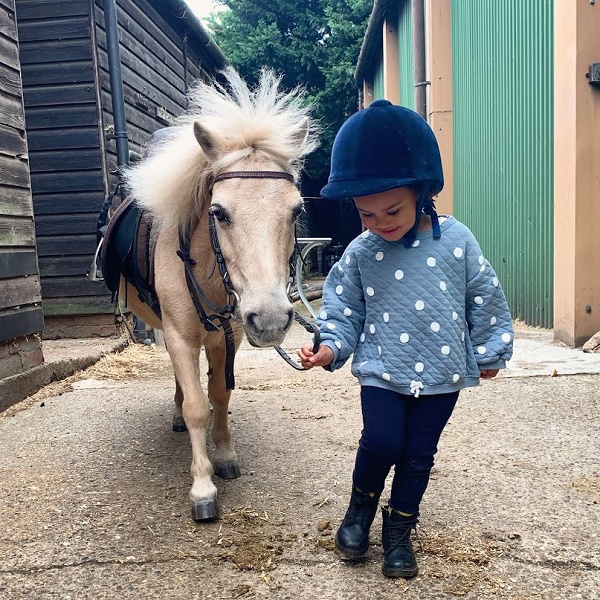 equestrian index equestrian news dillan