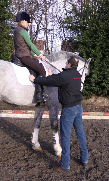 Equestrian News Equestrian Index rider