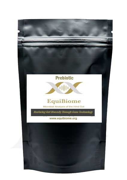 Equestrian News Equestrian Index mock