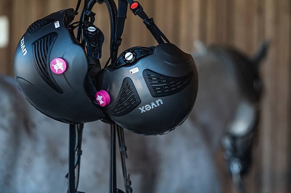 equestrian index equestrian news crash