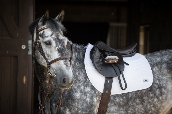 equestrian index equestrian news 150