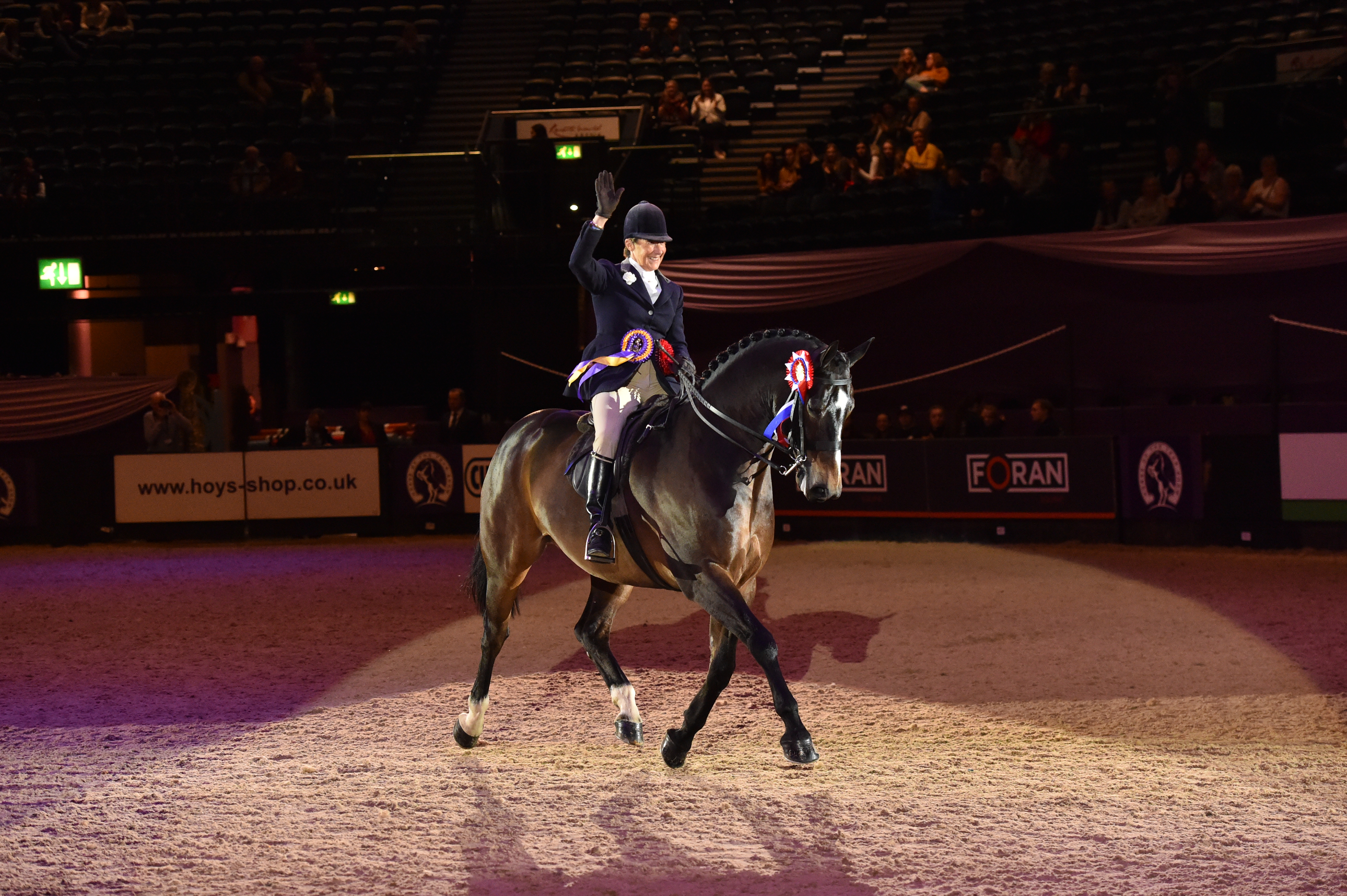 small show hunter of the year HOYS 2019
