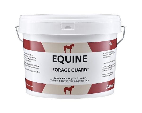 Equestrian News Equestrian Index forage