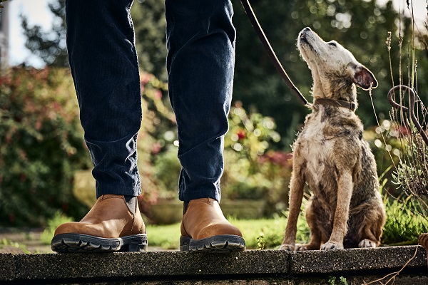 Equestrian News Equestrian Index autumn