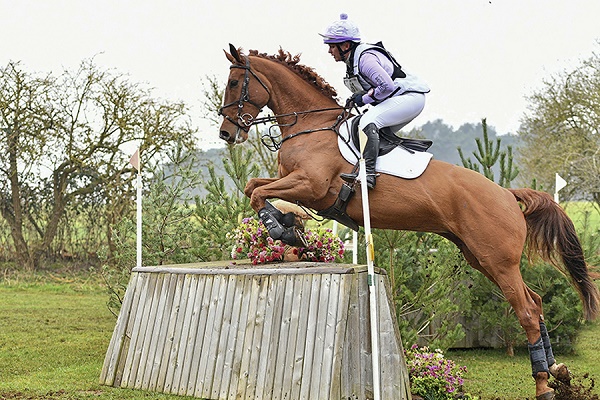 equestrian index equestrian news tattewrsall