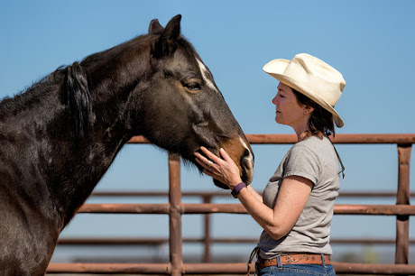 gestalt equine coaching ranch rider