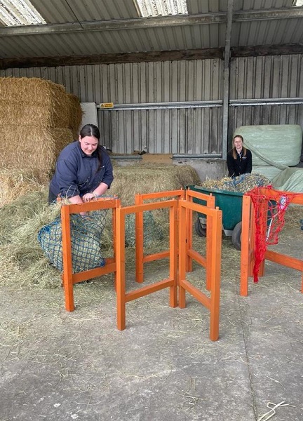 equestrian index equestrian news glebe