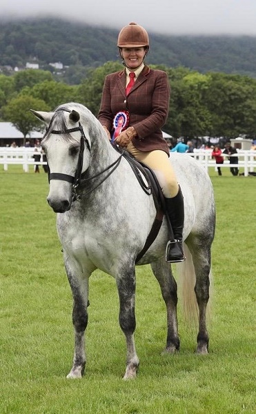 equestrian index equestrian news katie